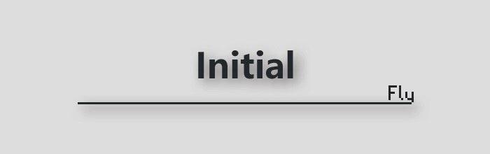 /wp-content/uploads/initial-fly.jpg